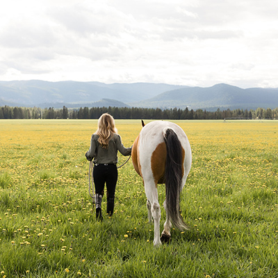 Equine Assisted Psychotherapist Whitefish MT Equine